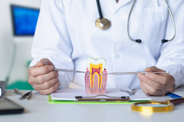 Best Dentist for Tooth Abscess  in Connell, WA